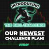 The Bull Challenge0.jpg